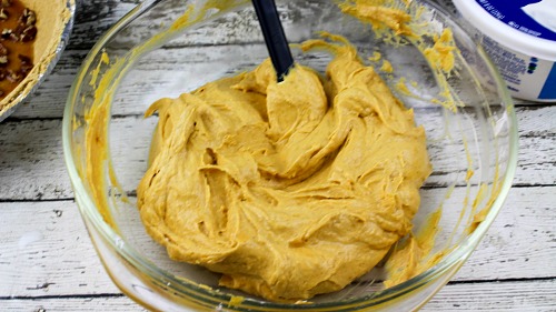 Torta di zucca tartaruga senza cottura 