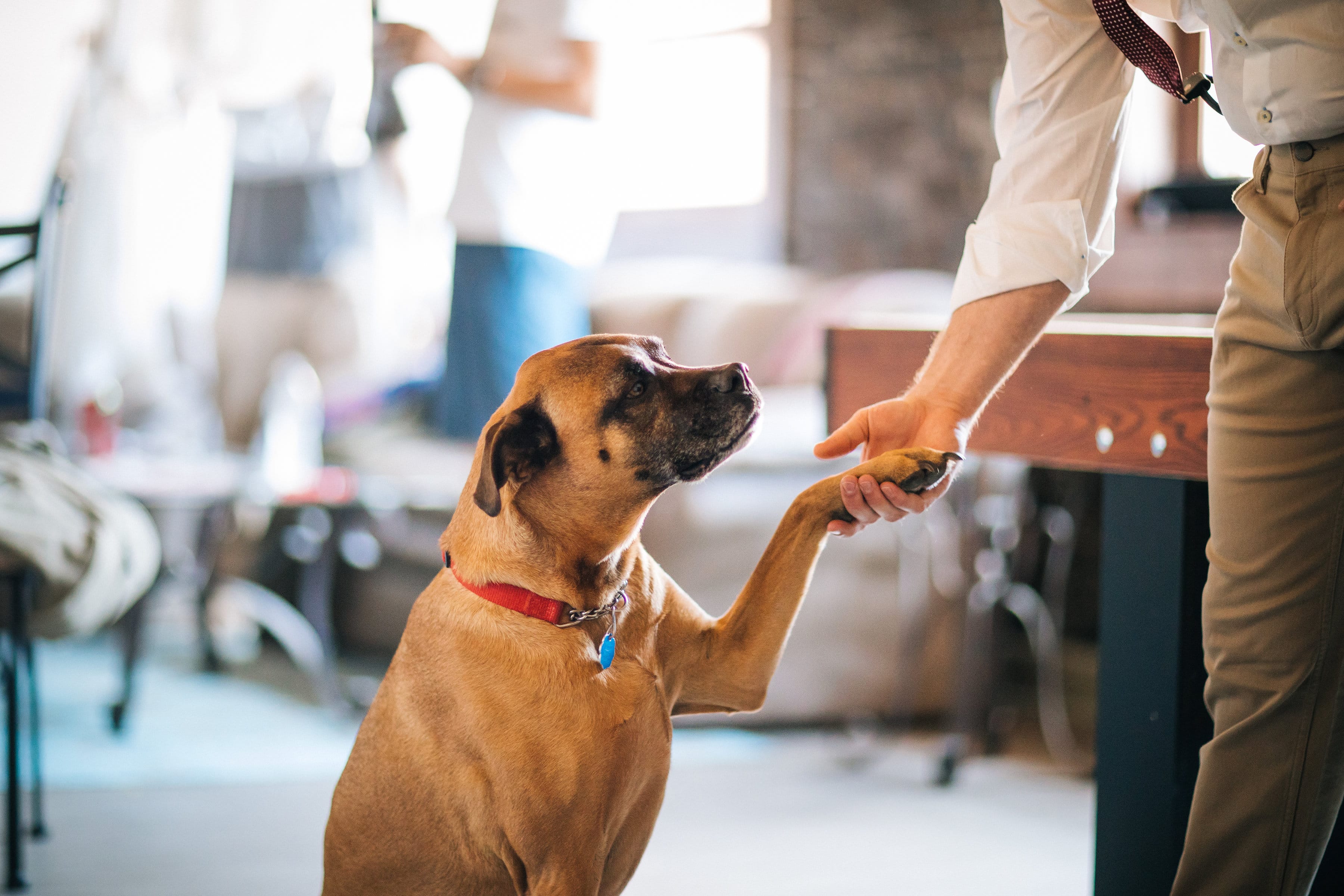 Maggie Sottero Model Devon e il suo grande matrimonio ispirato a Gatsby 