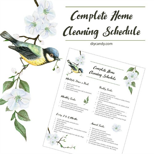 Effective Cleaning Schedules: 13 Plans for a Spotless Home