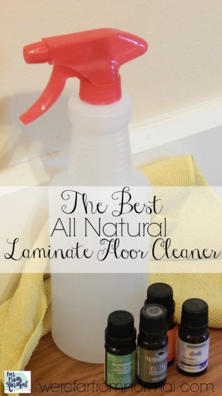 DIY Floor & Carpet Cleaners: Natural & Budget-Friendly Recipes