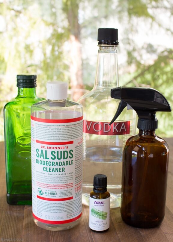 DIY Floor & Carpet Cleaners: Natural & Budget-Friendly Recipes