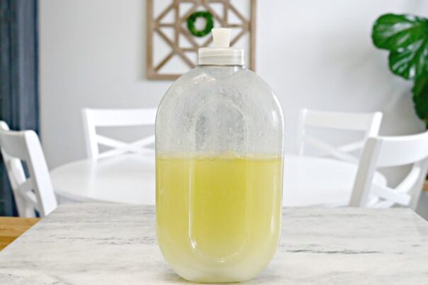 DIY Floor & Carpet Cleaners: Natural & Budget-Friendly Recipes