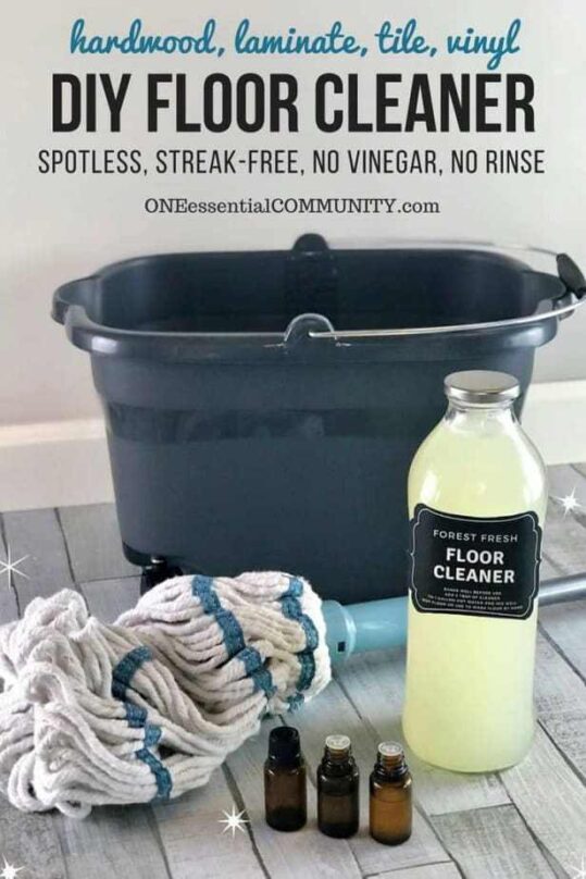 DIY Floor & Carpet Cleaners: Natural & Budget-Friendly Recipes