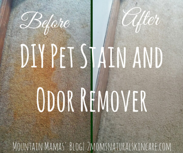 DIY Floor & Carpet Cleaners: Natural & Budget-Friendly Recipes