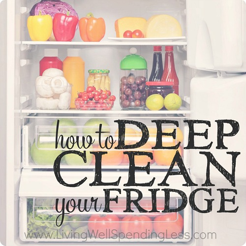 Expert Kitchen Cleaning: 15 Tips for a Germ-Free & Sparkling Kitchen