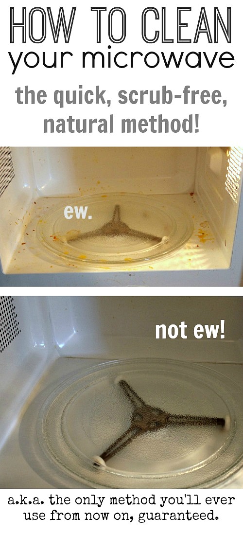 Expert Kitchen Cleaning: 15 Tips for a Germ-Free & Sparkling Kitchen