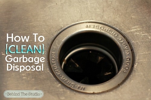 Expert Kitchen Cleaning: 15 Tips for a Germ-Free & Sparkling Kitchen