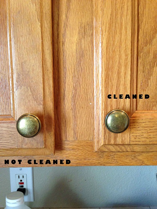 Expert Kitchen Cleaning: 15 Tips for a Germ-Free & Sparkling Kitchen
