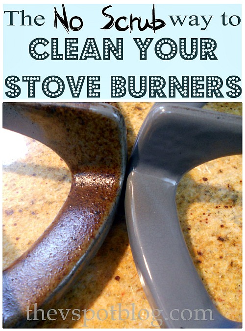 Expert Kitchen Cleaning: 15 Tips for a Germ-Free & Sparkling Kitchen