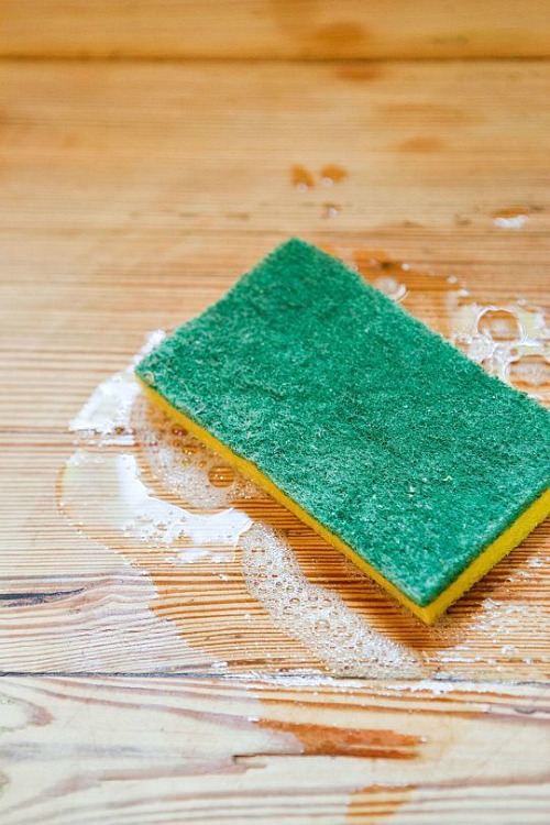 Expert Kitchen Cleaning: 15 Tips for a Germ-Free & Sparkling Kitchen