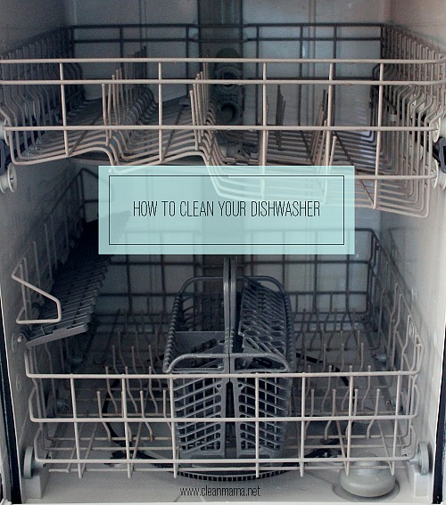 Expert Kitchen Cleaning: 15 Tips for a Germ-Free & Sparkling Kitchen