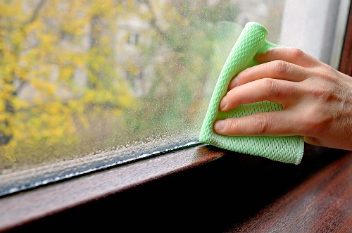 Debunking Spring Cleaning Myths: 10 Common Cleaning Mistakes to Avoid