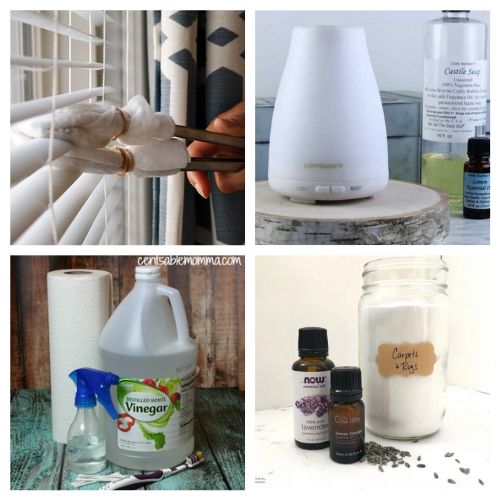 Effective Spring Cleaning Tips for a Sparkling Home | [Your Brand]