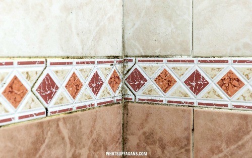 Quick & Easy Bathroom Cleaning Hacks for Busy Schedules