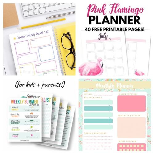 20 Free Printable Summer Planners to Organize Your Fun