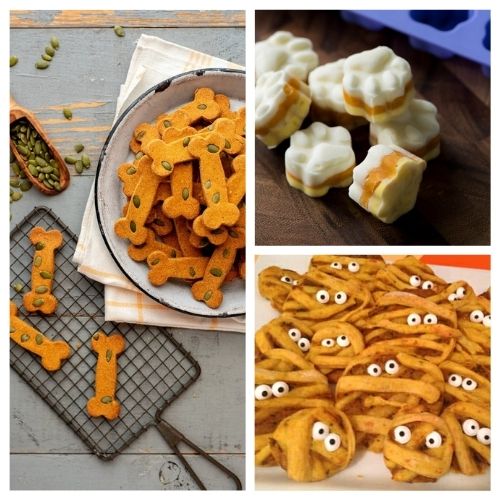 20 Easy & Healthy Homemade Fall Dog Treat Recipes