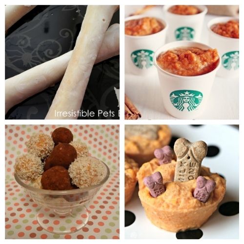 20 Easy & Healthy Homemade Fall Dog Treat Recipes