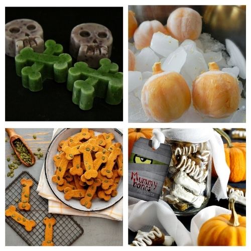 20 Easy & Healthy Homemade Fall Dog Treat Recipes