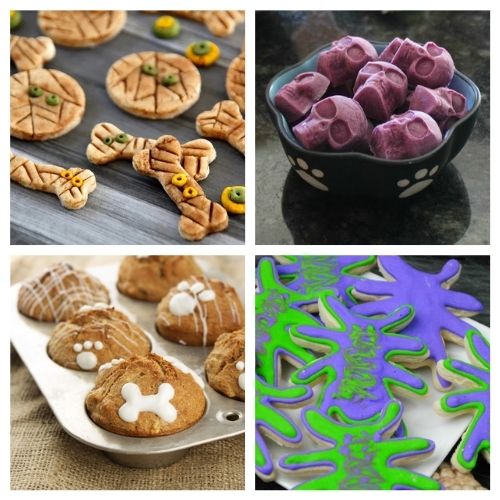 20 Easy & Healthy Homemade Fall Dog Treat Recipes