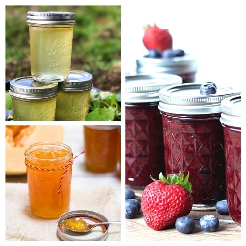 Homemade Jam & Jelly Recipes: 20 Delicious & Easy Recipes