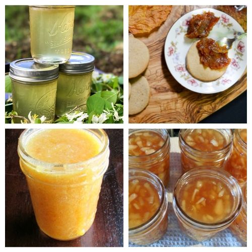 Homemade Jam & Jelly Recipes: 20 Delicious & Easy Recipes