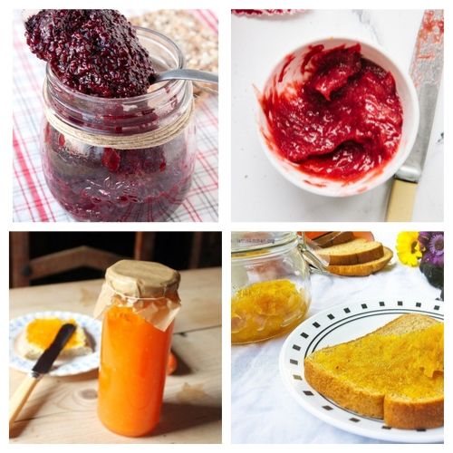 Homemade Jam & Jelly Recipes: 20 Delicious & Easy Recipes