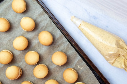 Mini Pumpkin Cheesecake Sandwich Cookies - Easy Fall Treat