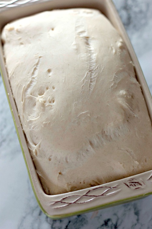 Easy No-Knead Homemade English Muffin Bread Recipe
