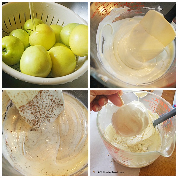 Easy Homemade Chocolate Covered Pumpkin Spice Apples | Budget-Friendly Treat