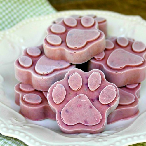 Healthy Homemade Frozen Dog Treats: Peanut Butter & Berry Pops