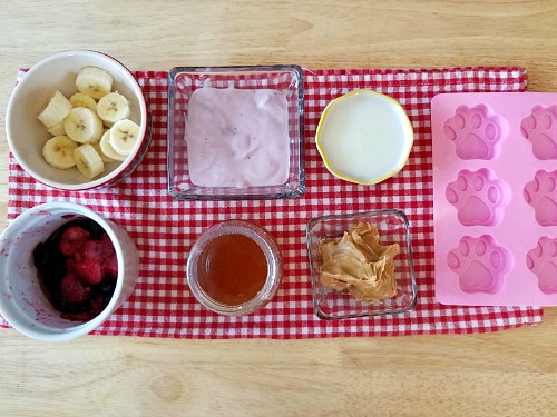 Healthy Homemade Frozen Dog Treats: Peanut Butter & Berry Pops