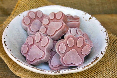 Healthy Homemade Frozen Dog Treats: Peanut Butter & Berry Pops