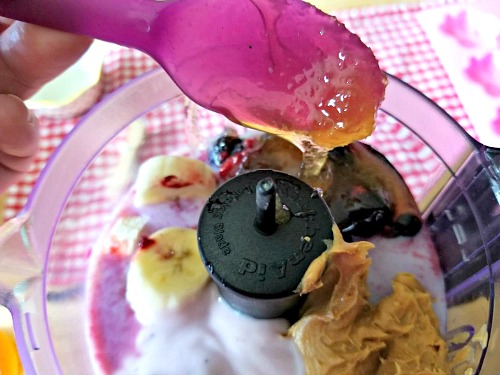 Healthy Homemade Frozen Dog Treats: Peanut Butter & Berry Pops