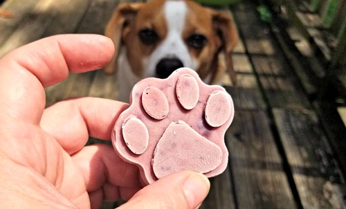 Healthy Homemade Frozen Dog Treats: Peanut Butter & Berry Pops