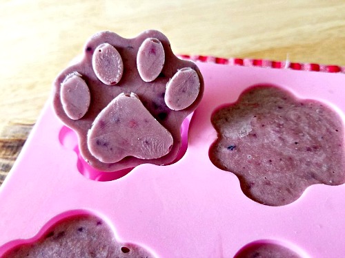 Healthy Homemade Frozen Dog Treats: Peanut Butter & Berry Pops