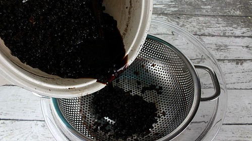 Boost Your Immunity with Elderberry Gummies - Natural Flu Defense