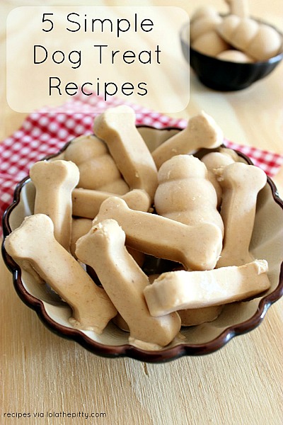 Healthy & Affordable Homemade Dog Treats: 15 Easy Recipes