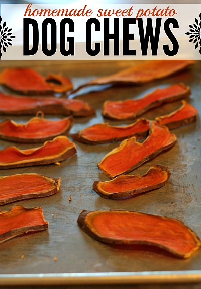 Healthy & Affordable Homemade Dog Treats: 15 Easy Recipes