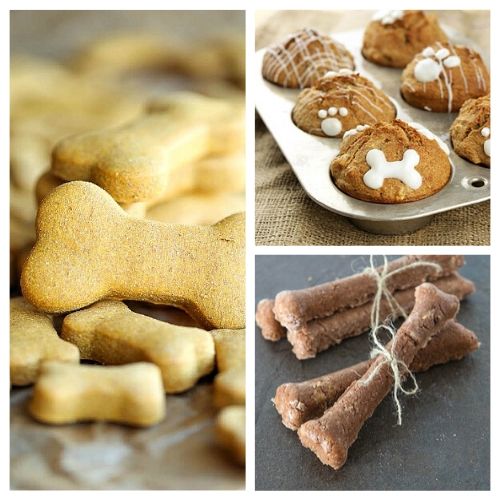 Healthy & Affordable Homemade Dog Treats: 15 Easy Recipes