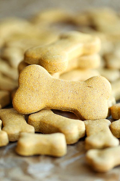 Healthy & Affordable Homemade Dog Treats: 15 Easy Recipes