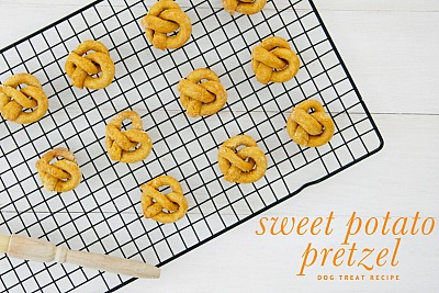 Healthy & Affordable Homemade Dog Treats: 15 Easy Recipes