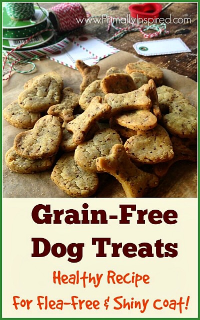 Healthy & Affordable Homemade Dog Treats: 15 Easy Recipes