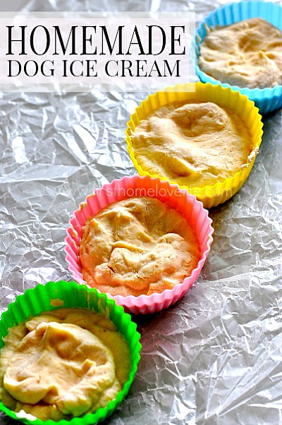 Healthy & Affordable Homemade Dog Treats: 15 Easy Recipes
