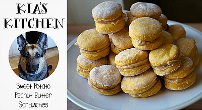 Healthy & Affordable Homemade Dog Treats: 15 Easy Recipes