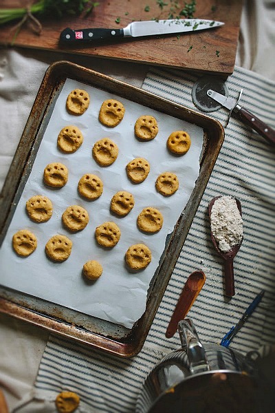 Healthy & Affordable Homemade Dog Treats: 15 Easy Recipes