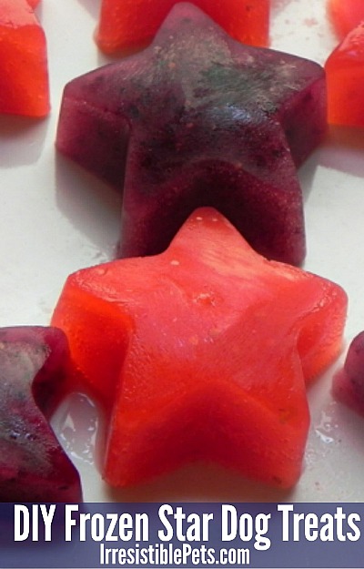Healthy & Affordable Homemade Dog Treats: 15 Easy Recipes