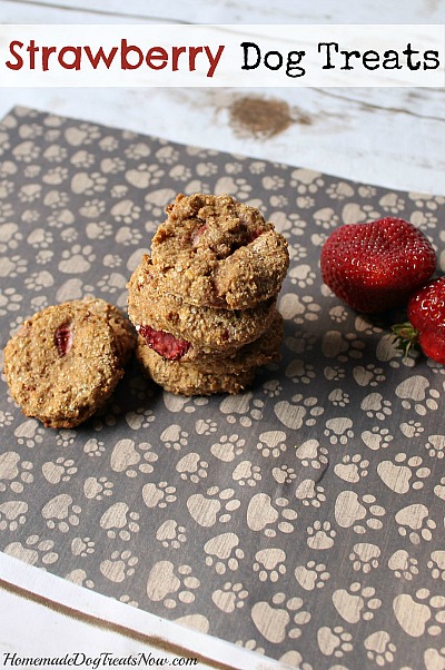 Healthy & Affordable Homemade Dog Treats: 15 Easy Recipes