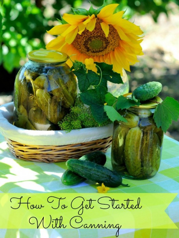 Beginner s Guide to Home Canning: Essential Tips & Techniques
