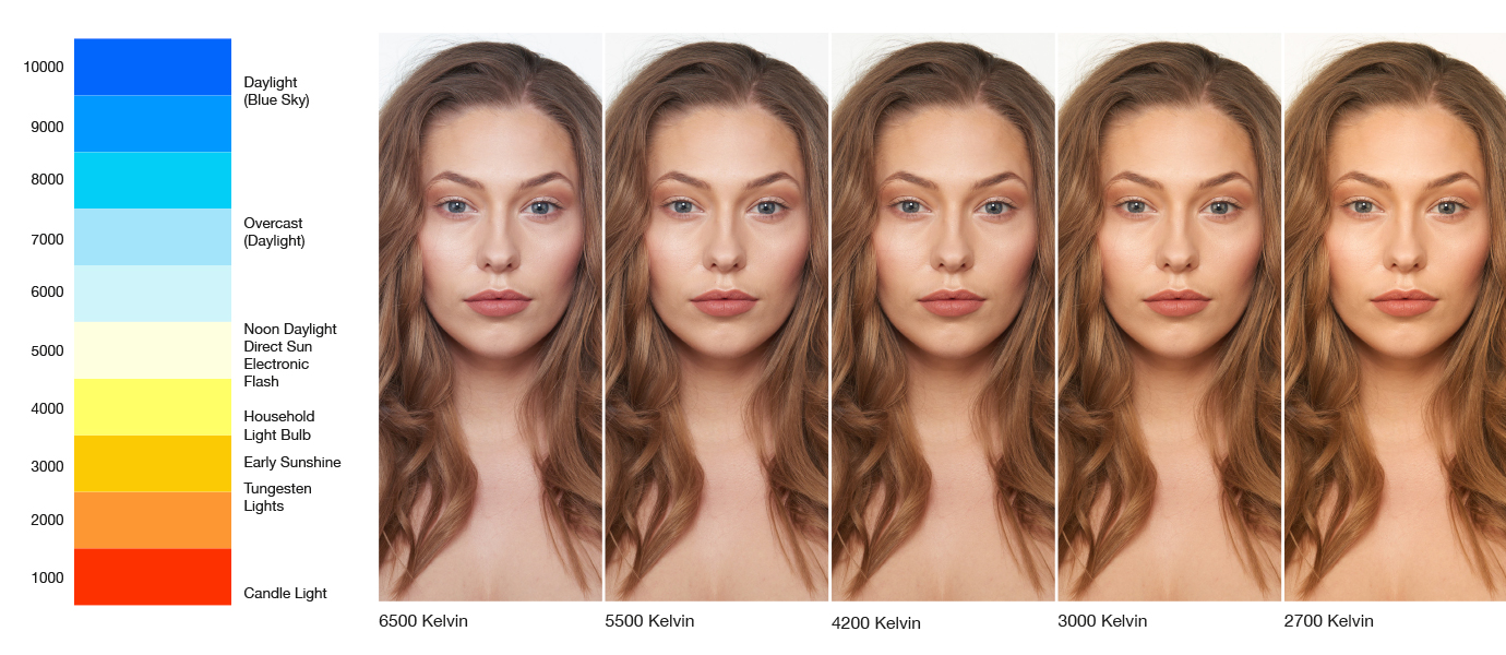 Mastering Color Theory for Makeup: A Comprehensive Guide