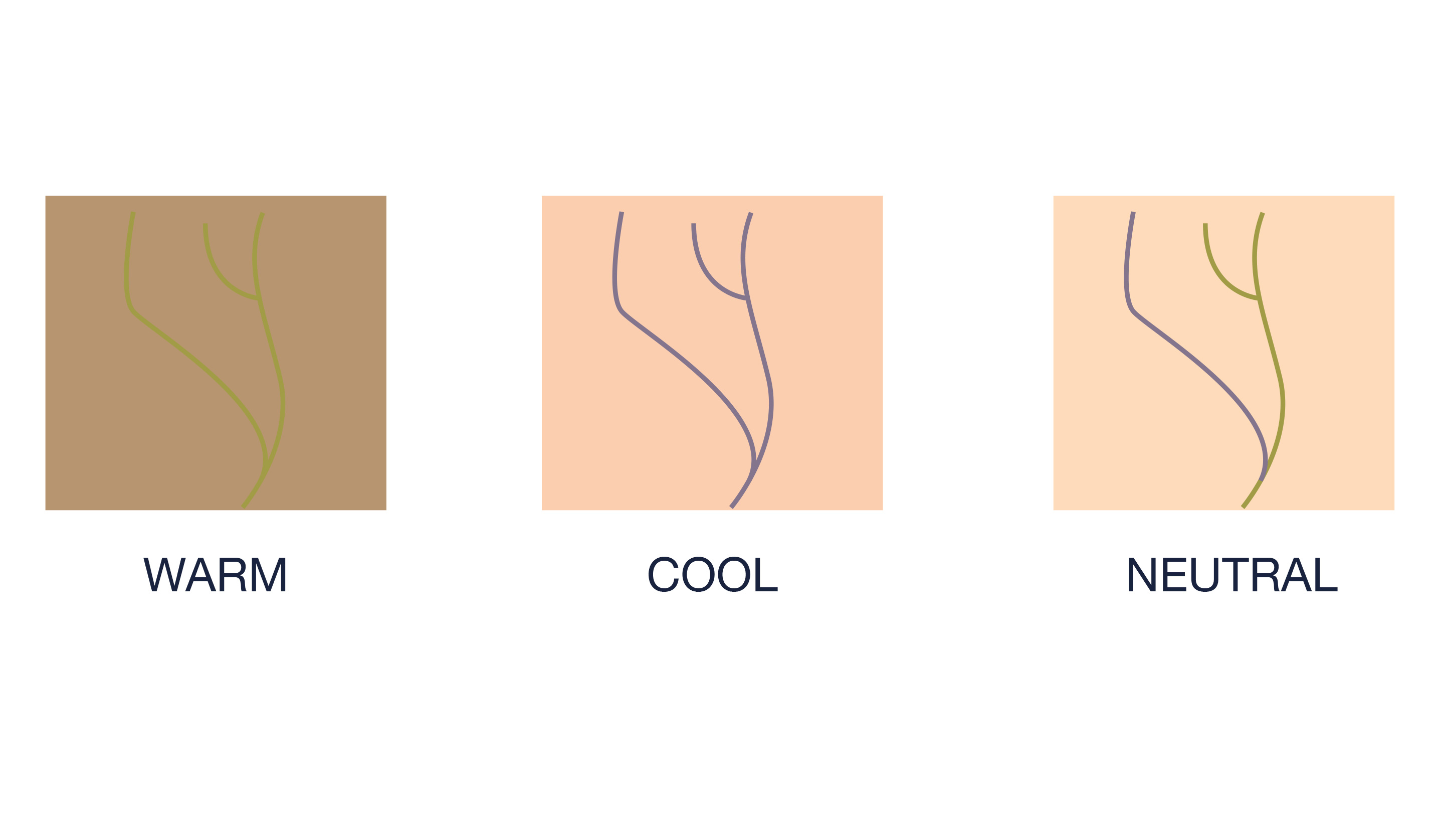 Understanding Skin Tones & Undertones: A Makeup Artist s Guide